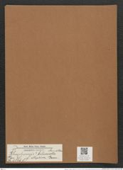 Rhaphoneis ? bilineata f. elliptica Grun. (de-Toni-Nr.: Genus 78, Species 2826) Zeichnungen Sammlung Grunow Mappe 02999 (Herbarium_W_Grunow_drawings_Folder_02999)